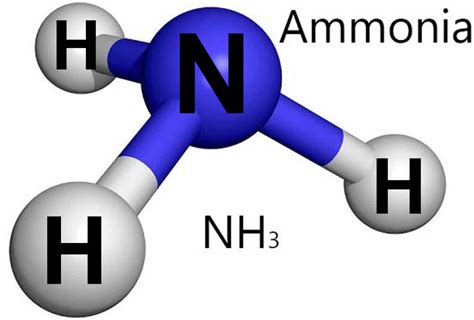 Ammonia 